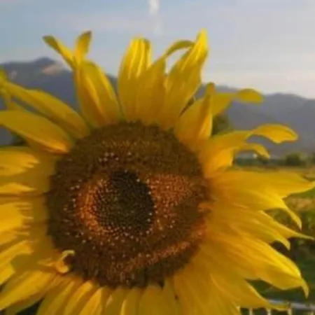 Efatha- In Liptov Сasa de vacaciones Svaty Kriz